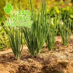 Baby Bio Outdoor Fruit And Vegetable Feed Concentrate 2 X 750 Ml -Outlet Green Shrub Hub Store baby bio outdoor fruit and vegetable feed concentrate 2 x 750 ml5059331216616 04c MP