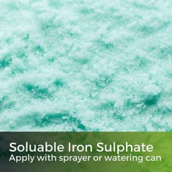 Green Snow - Iron Sulphate 1kg (1000m²) -Outlet Green Shrub Hub Store green snow iron sulphate 1kg 1000m 5065007977910 03c MP