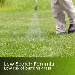 Green Snow - Iron Sulphate 1kg (1000m²) -Outlet Green Shrub Hub Store green snow iron sulphate 1kg 1000m 5065007977910 04c MP