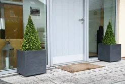 Hedges Direct Box 50cm Topiary Cone