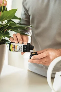 LECHUZA Long-acting Fertiliser Perfect Veggie, 150g -Outlet Green Shrub Hub Store lechuza long acting fertiliser perfect veggie 150g4008789196224 03c MP