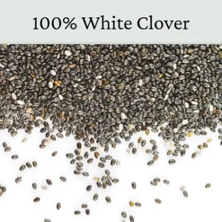 Micro Clover Seed For Lawn UK - 100% Small Leaf White Clover - Over Seeding Or New Areas - 100g Pack Covers 10-20m² -Outlet Green Shrub Hub Store micro clover seed for lawn uk 100 small leaf white clover over seeding or new areas 100g pack covers 10 20m 5065007977958 04c MP