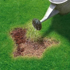 Miracle-Gro Patch Magic Lawn Repair 16m² 3.6kg -Outlet Green Shrub Hub Store miracle gro patch magic lawn repair 16m 3 6kg5010272087154 02i bq