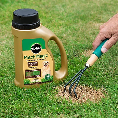 Miracle-Gro Patch Magic Lawn Repair 6m² 1.3kg 2 Miracle-Gro Patch Magic Lawn Repair 6m² 1.3kg - Image 2
