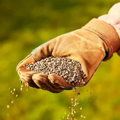 Miracle-Gro Perform Universal Plant Feed Granules 2kg -Outlet Green Shrub Hub Store miracle gro perform universal plant feed granules 2kg5010272189032 01i BQ