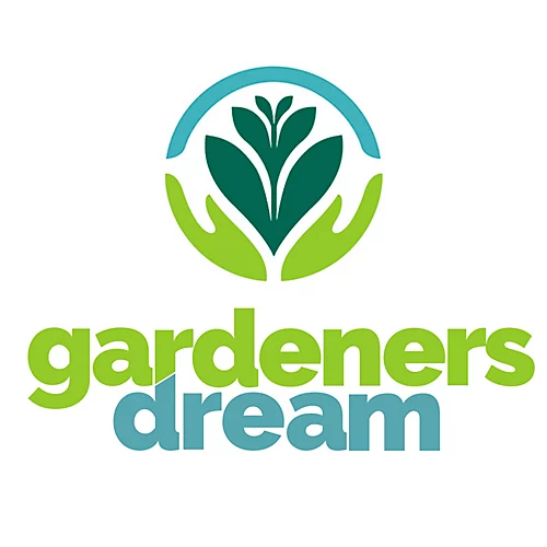 Salix Hakuro Nishiki Patio Tree - Stunning Variety, Ideal For UK Gardens, Compact Size (2-3ft) 4 Salix Hakuro Nishiki Patio Tree - Stunning Variety, Ideal For UK Gardens, Compact Size (2-3ft) - Image 4